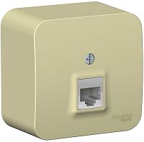 Розетка компьютерная накладная Systeme Electric Blanca 1-м. RJ45 5e бежевый картинка